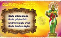 తెలుగు తల్లికి నీరాజనం