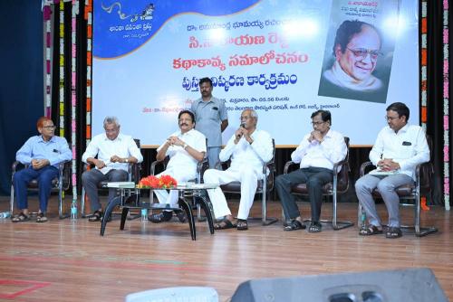 Cinare-Book-Release-2025-027 (1)