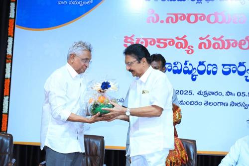 Cinare-Book-Release-2025-029 (1)