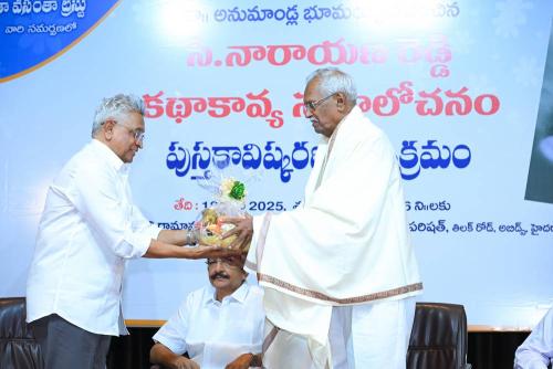 Cinare-Book-Release-2025-030 (1)